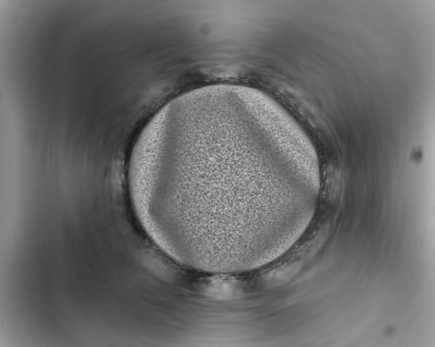 X0000102350612200808151752