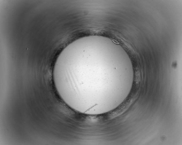 X0000102350613200808151752