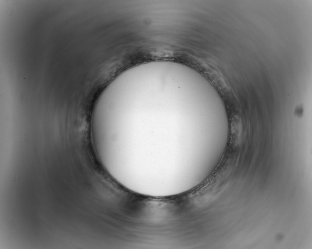 X0000102350614200808151752