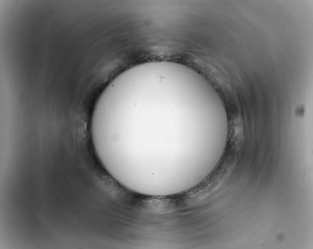 X0000102350615200808151752