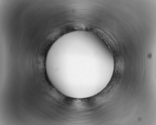 X0000102350616200808151752