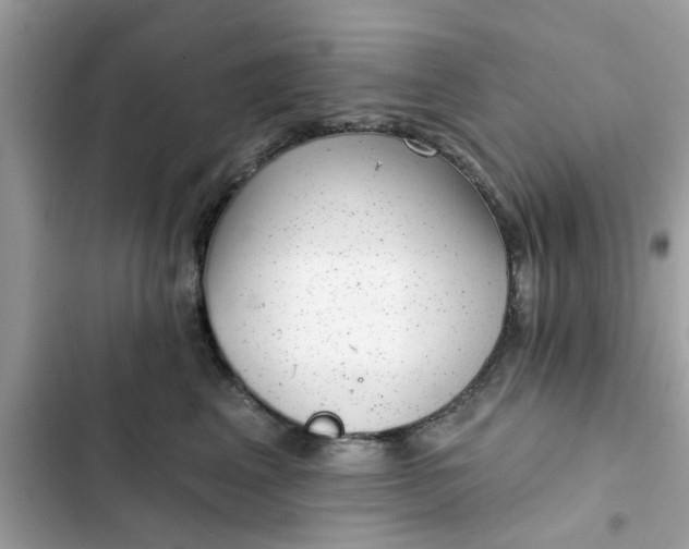 X0000102350617200808151752