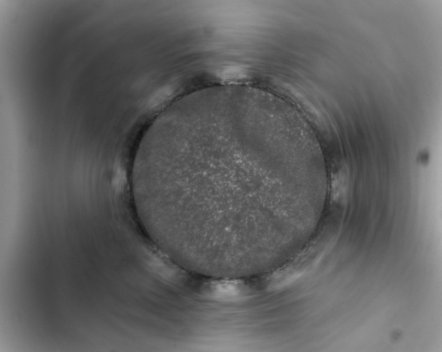 X0000102350618200808151752