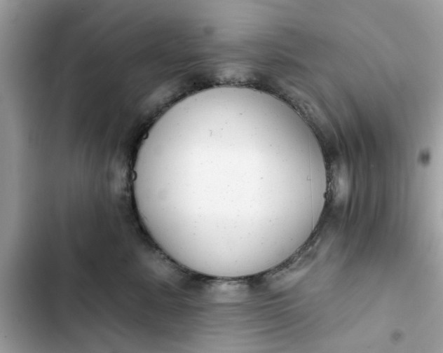 X0000102350619200808151752