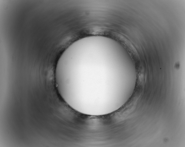 X0000102350620200808151752