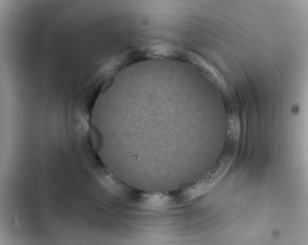 X0000102350621200808151752