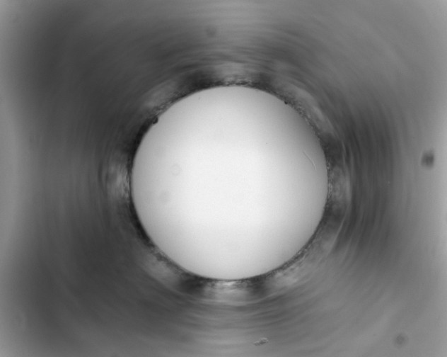 X0000102350622200808151752