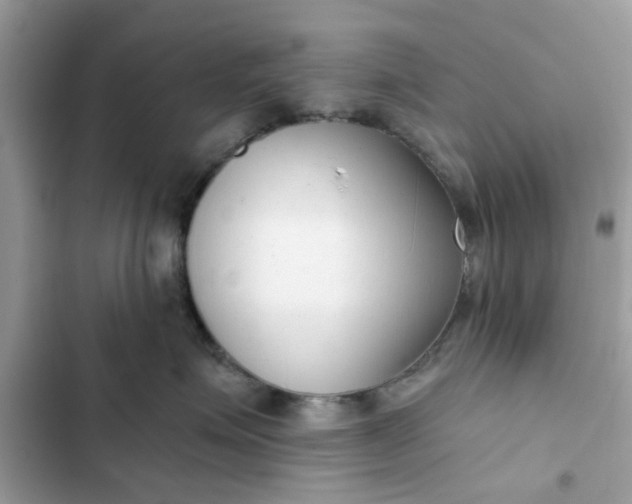 X0000102350623200808151752