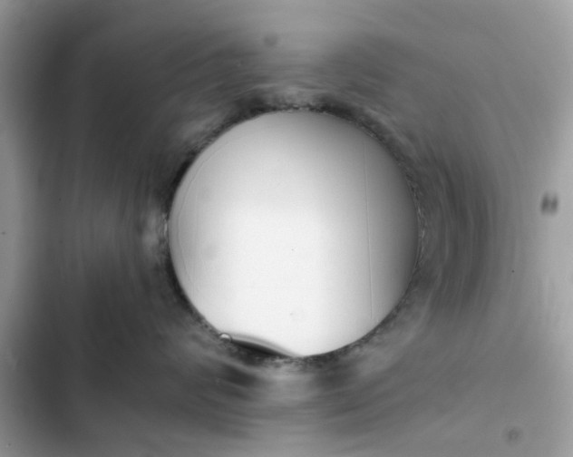 X0000102350624200808151752