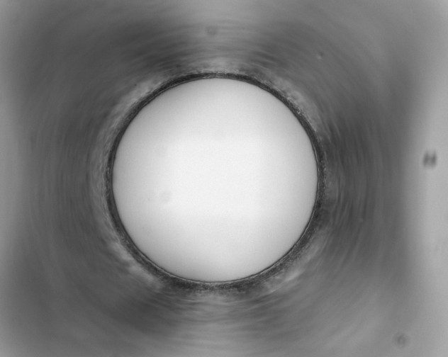 X0000102350625200808151751