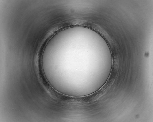 X0000102350626200808151751