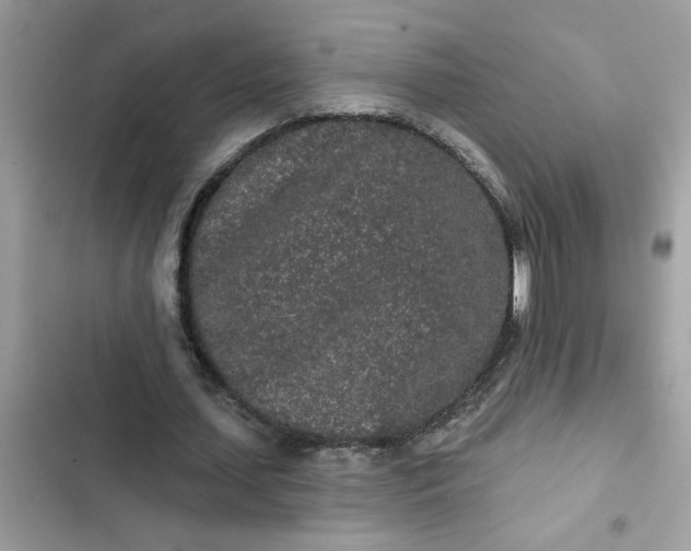 X0000102350627200808151751