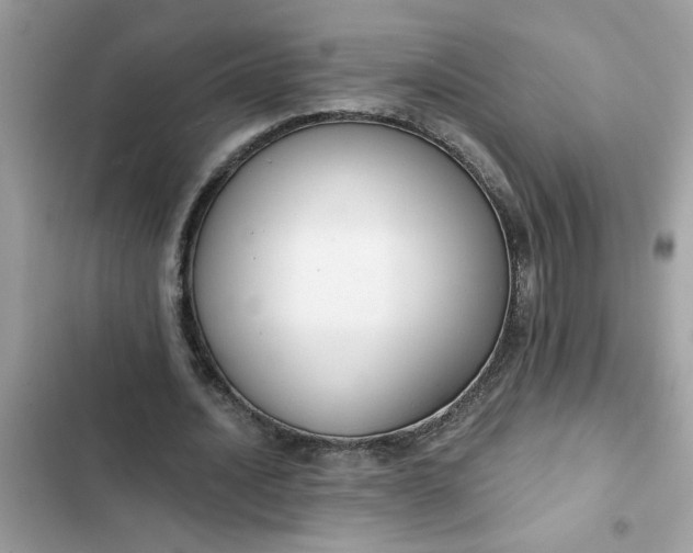 X0000102350628200808151751