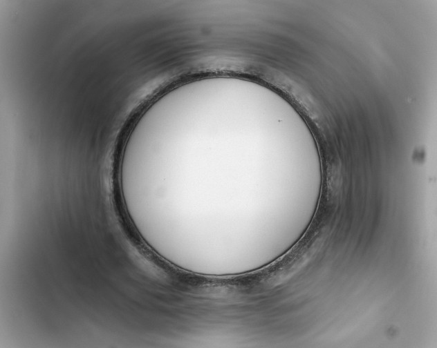 X0000102350629200808151751