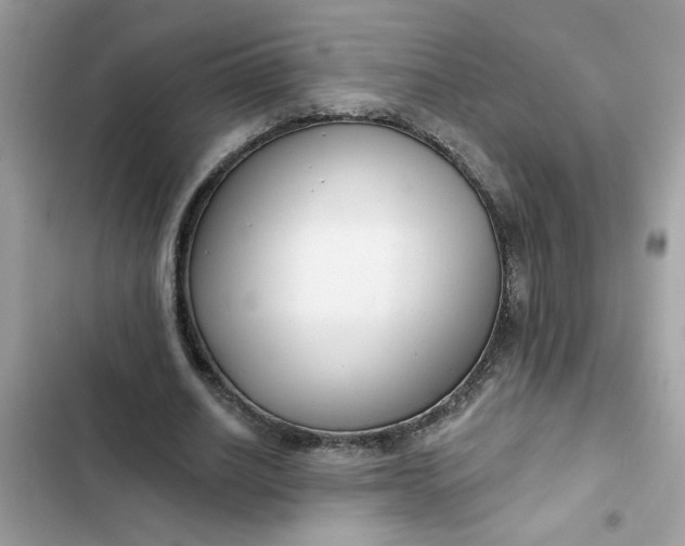 X0000102350630200808151751