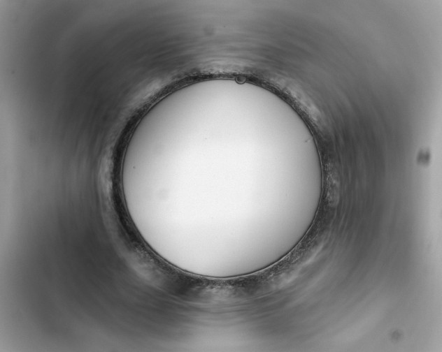 X0000102350631200808151751