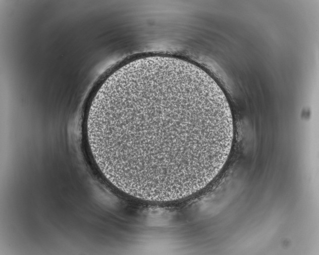 X0000102350632200808151751