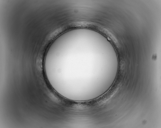 X0000102350633200808151751