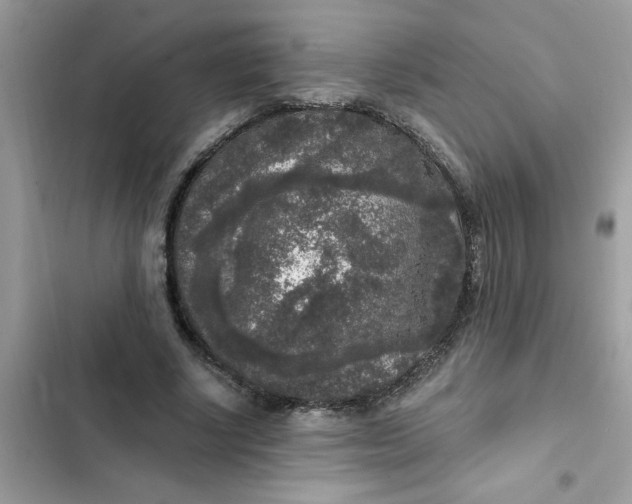 X0000102350634200808151751