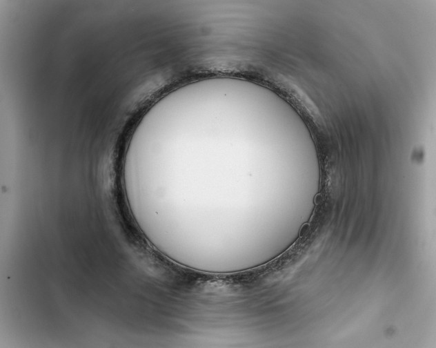 X0000102350635200808151751