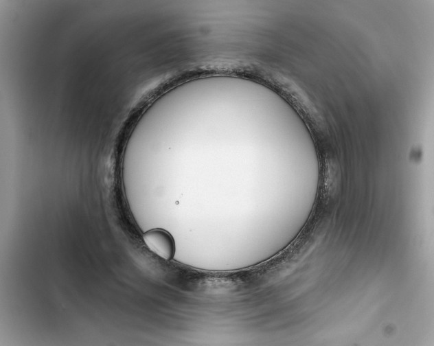 X0000102350636200808151751