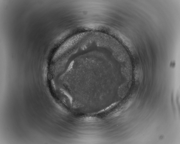 X0000102350637200808151751