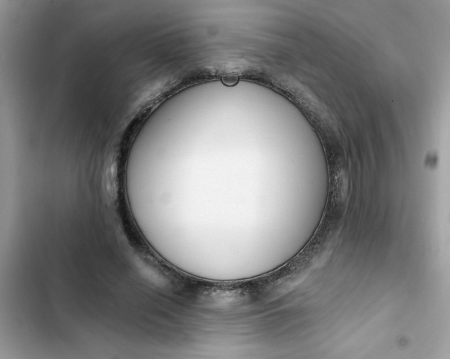 X0000102350638200808151751