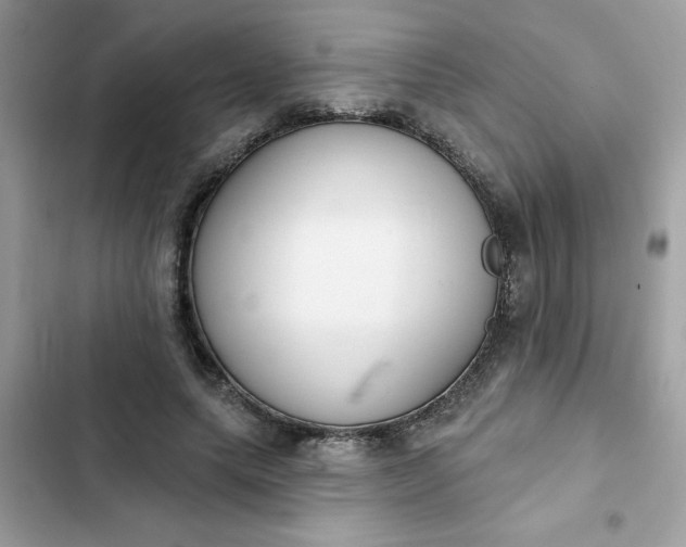 X0000102350639200808151751