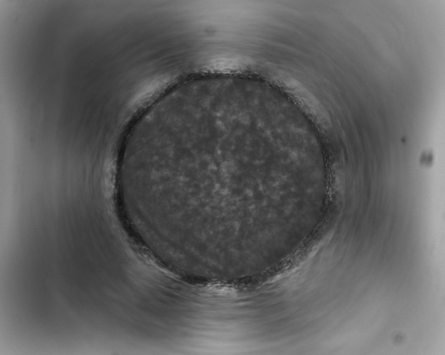 X0000102350640200808151751