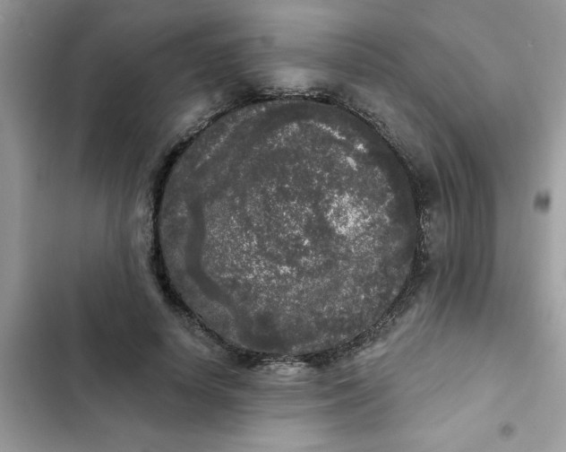 X0000102350642200808151751