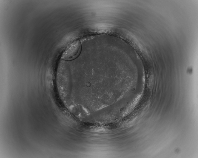 X0000102350643200808151751