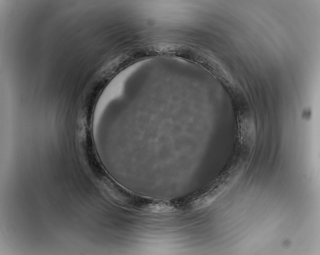 X0000102350644200808151751