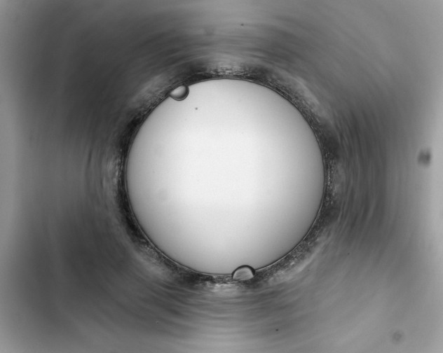 X0000102350645200808151751