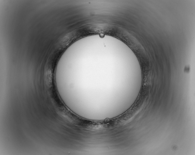 X0000102350646200808151751