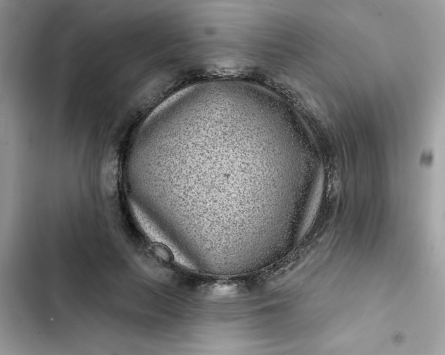 X0000102350647200808151751