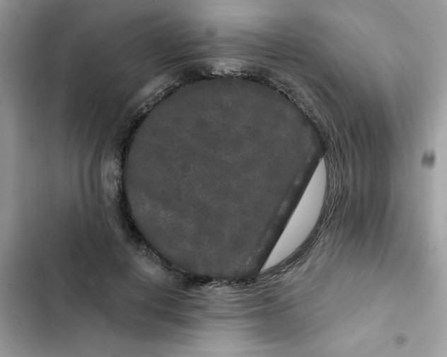 X0000102350648200808151751