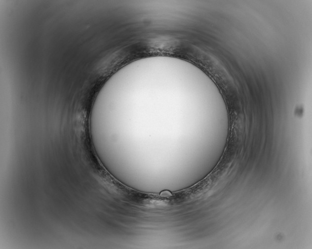 X0000102350649200808151751