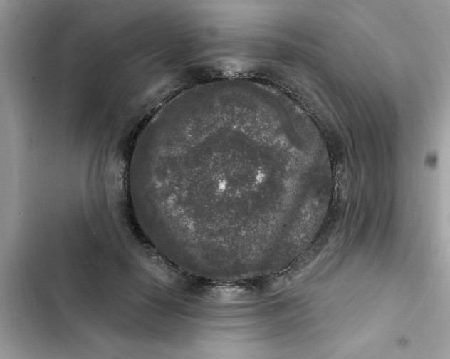 X0000102350650200808151751