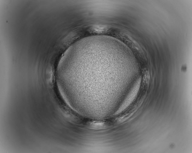 X0000102350651200808151751