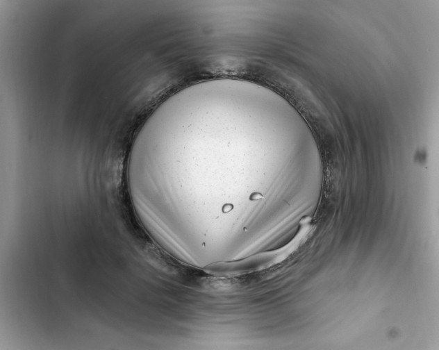 X0000102350652200808151751