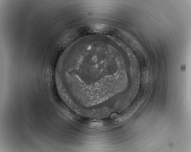 X0000102350653200808151751