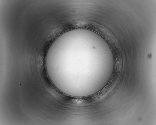 X0000102350654200808151752