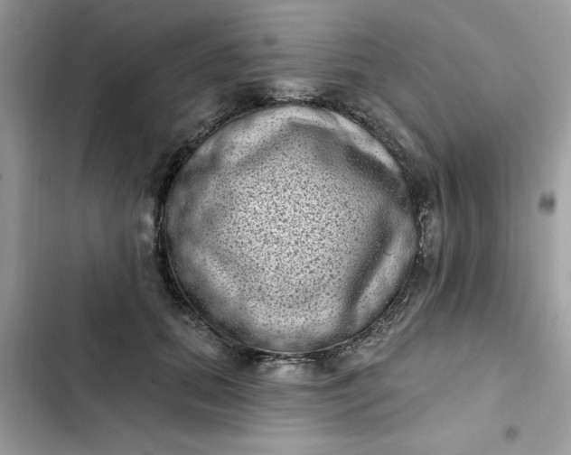 X0000102350655200808151752