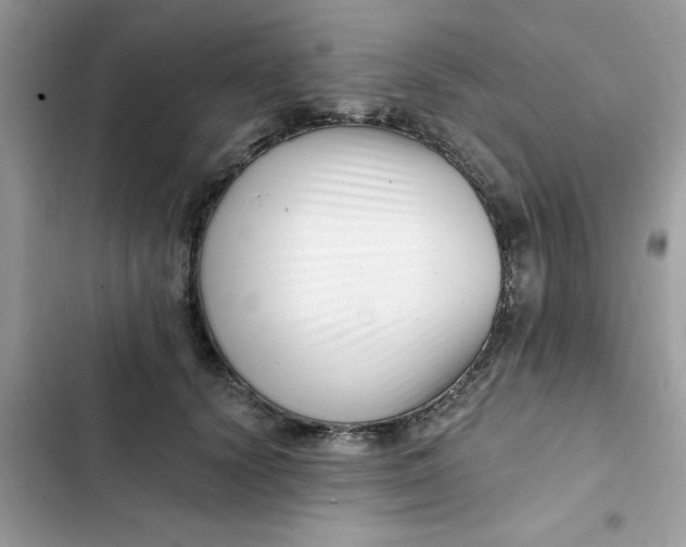 X0000102350656200808151752