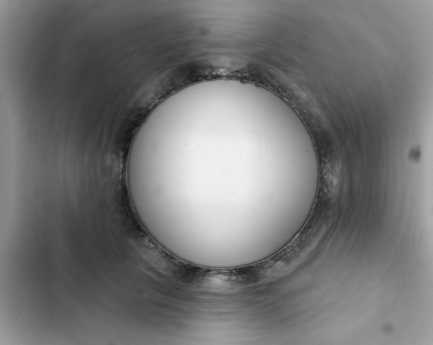 X0000102350657200808151752