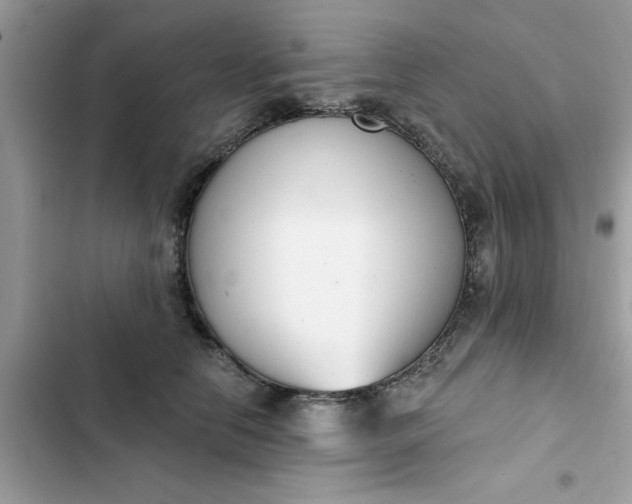 X0000102350658200808151752