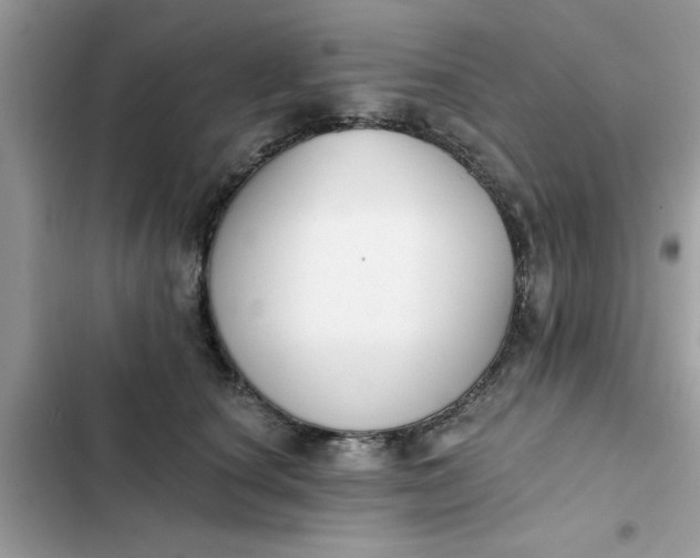 X0000102350660200808151752