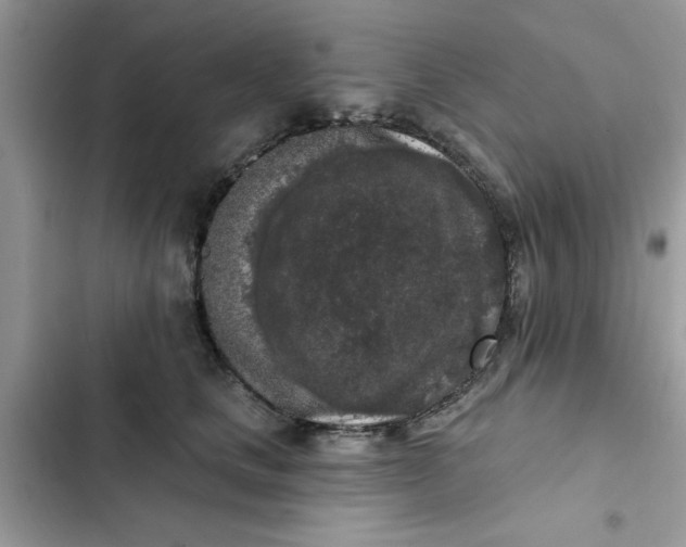 X0000102350661200808151752