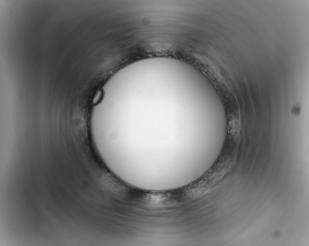 X0000102350662200808151752