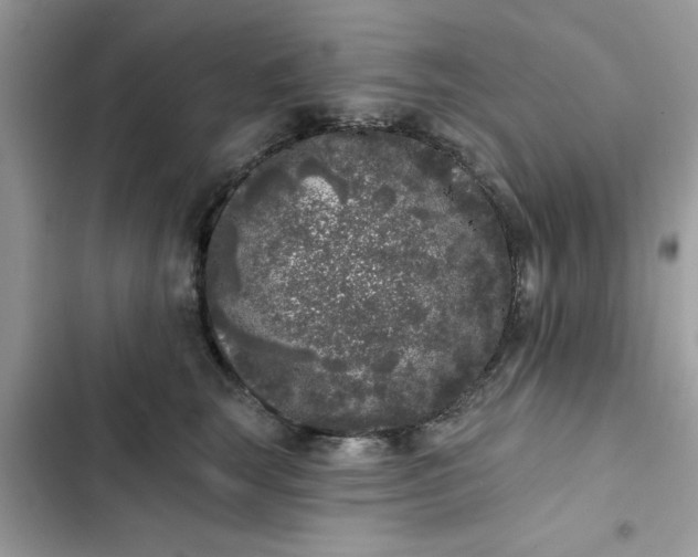 X0000102350663200808151752